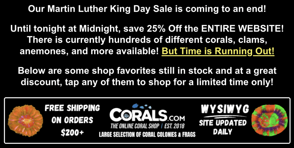 Screenshot 2026-01-20 at 2.37.20 PM.png