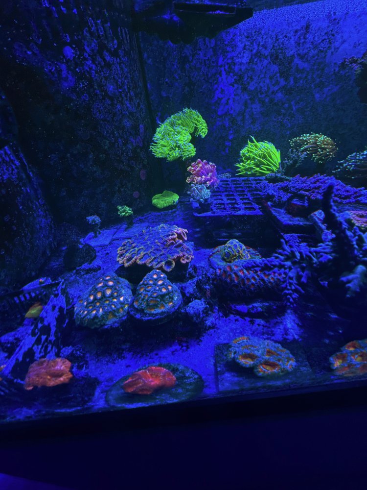 AquaCam_70BD1AB8.jpeg