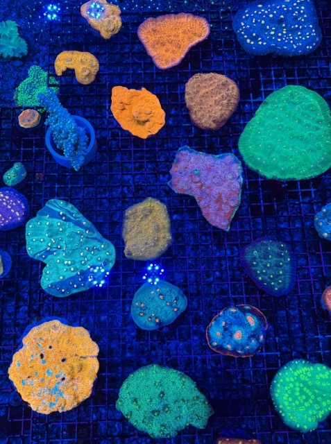 IMG_9634 Medium.jpeg