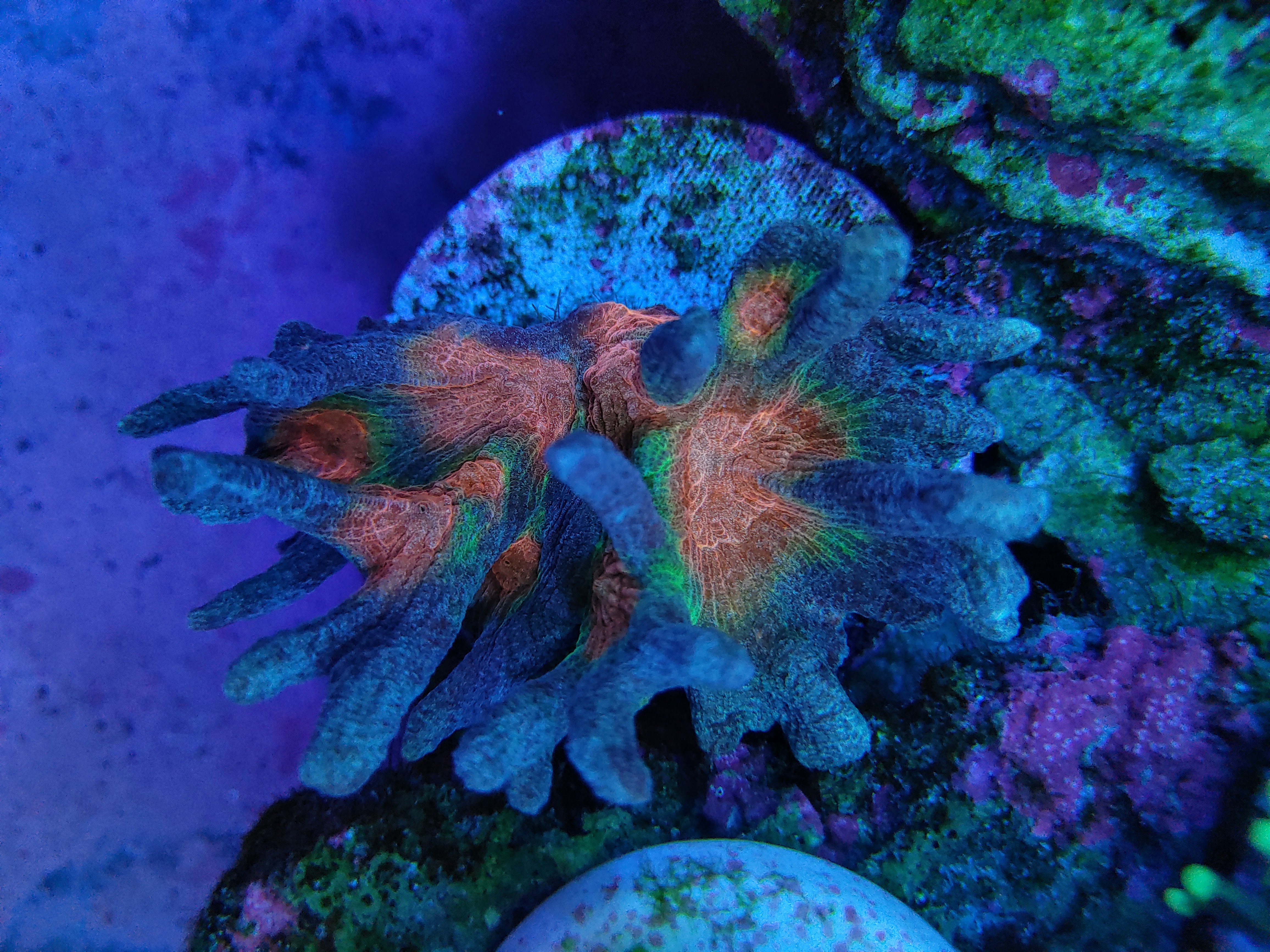 20201003_135522.jpg