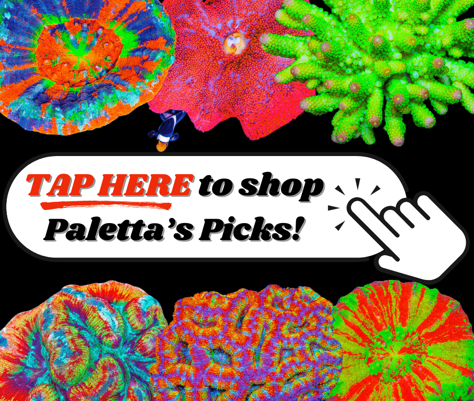 Tap for Paletta_s Picks_1_.png