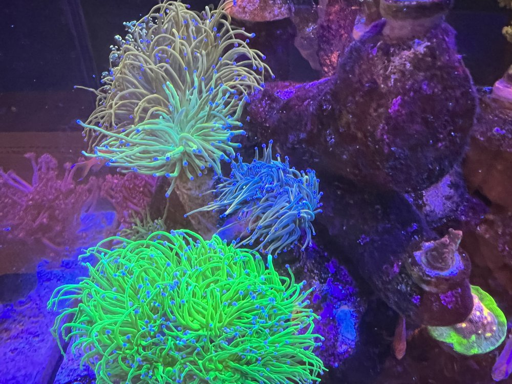 0A7210B2-01CC-4D21-8ADF-067AD35F5E72.jpeg