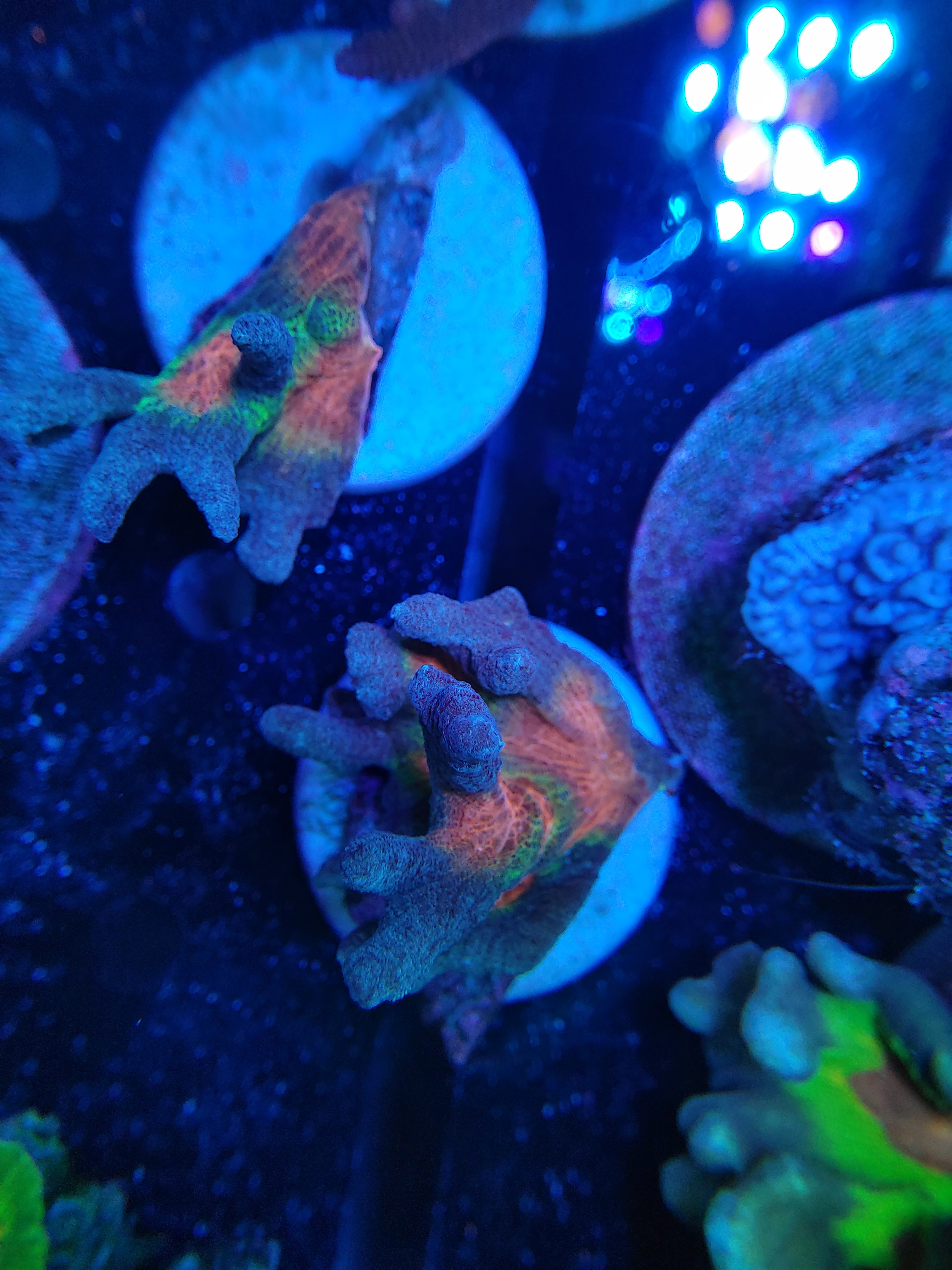 20201016_154339.jpg