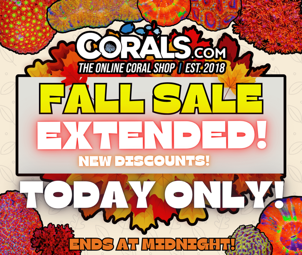 Fall Sale 2025(3).png