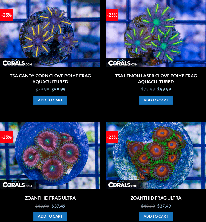 Screen Shot 2023-01-24 at 9.03.15 AM.png