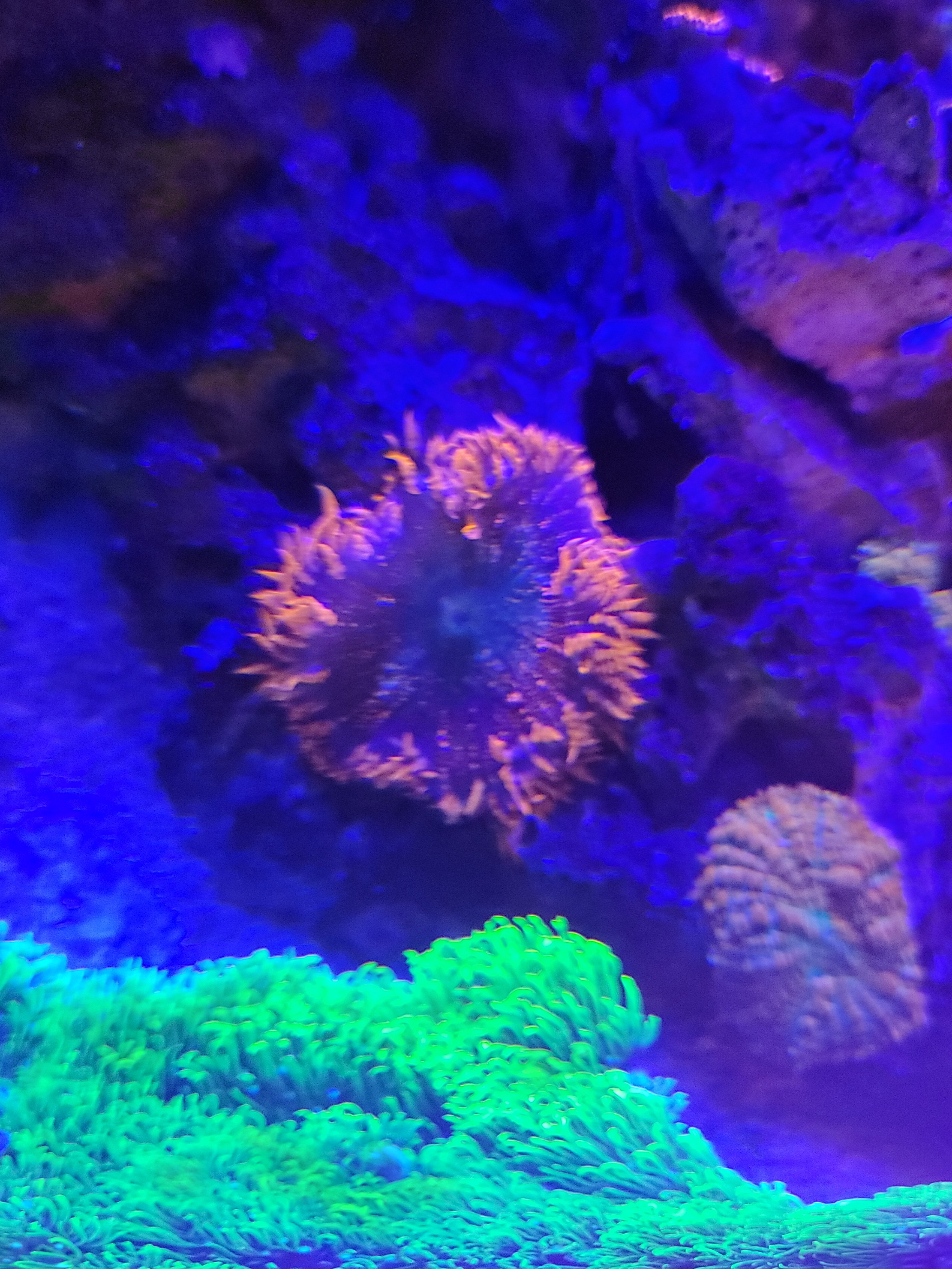 20210409_204740.jpg