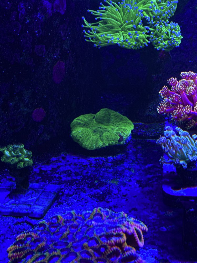AquaCam_2017B57C.jpeg
