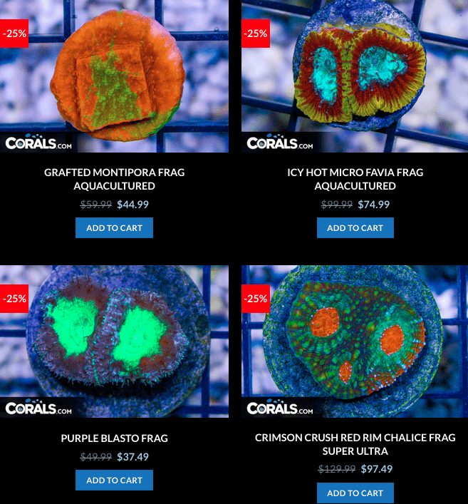 Screen Shot 2023-01-24 at 9.05.02 AM.png