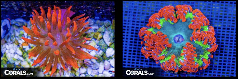 Screenshot 2026-03-02 at 3.52.40 PM.png