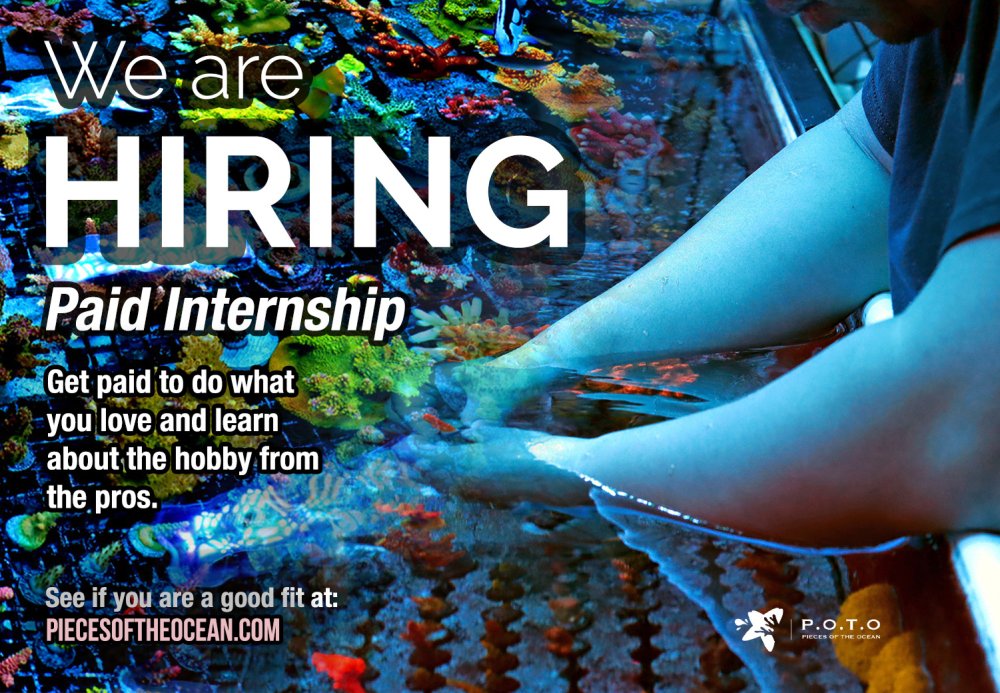 internship-banner-2025.jpg