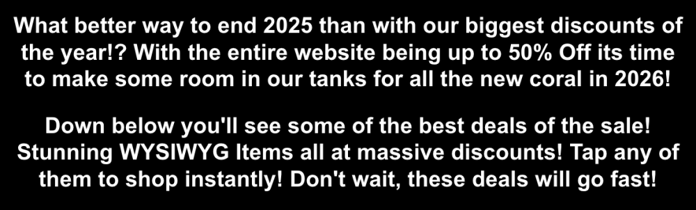 Screenshot 2025-12-28 at 10.06.04 AM.png