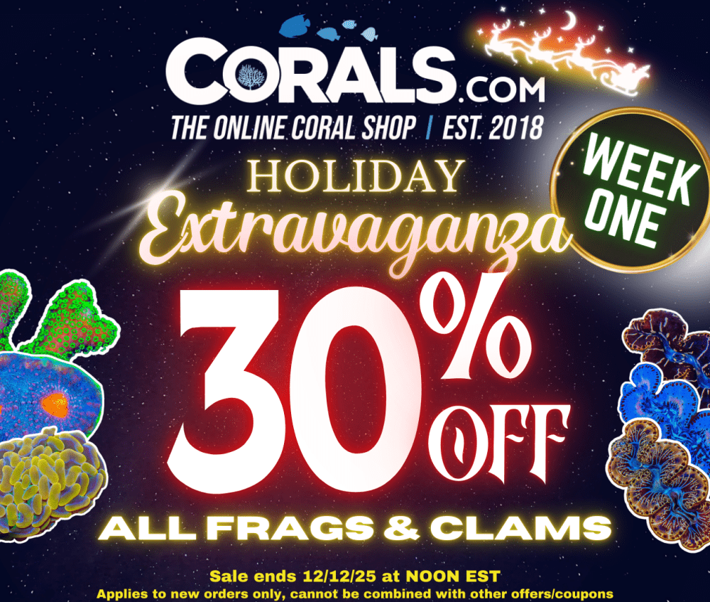 holiday sale week 1.png