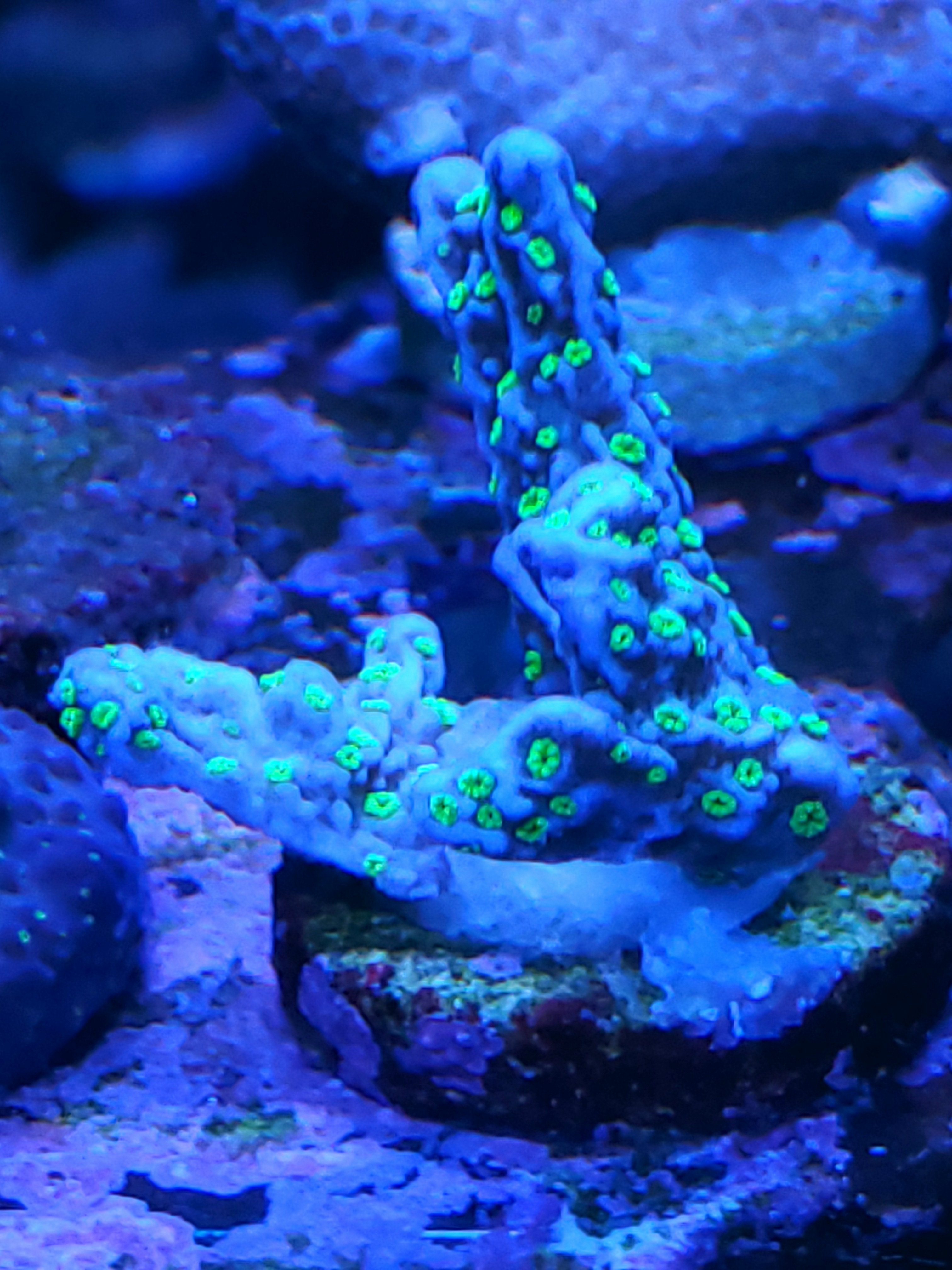 20201124_182137.jpg