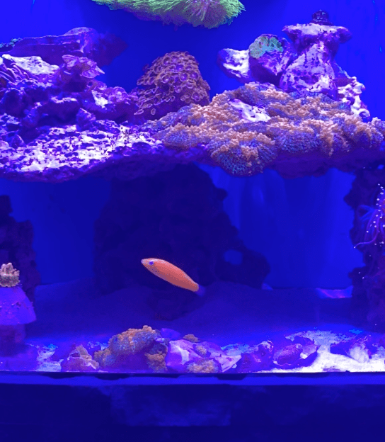 Screenshot 2023-09-19 at 2.34.08 PM.png