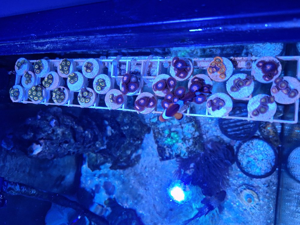 20230715_081254.jpg