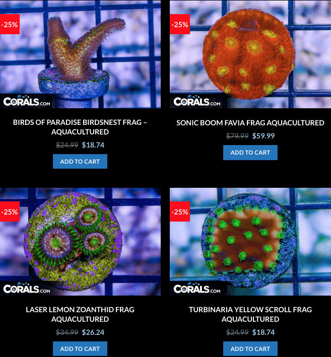 Screen Shot 2023-01-17 at 8.59.42 AM.png