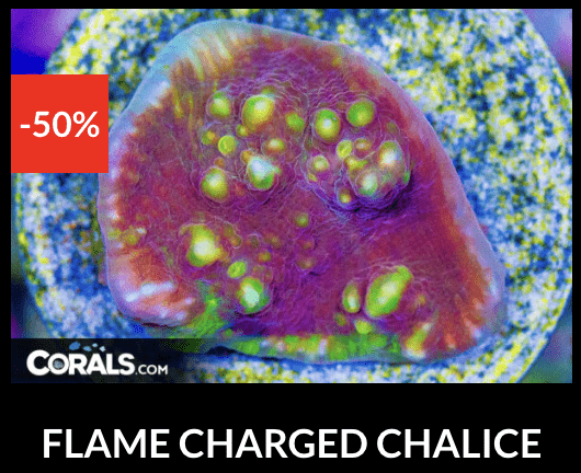 Screenshot 2026-04-10 at 10.40.38 PM.png