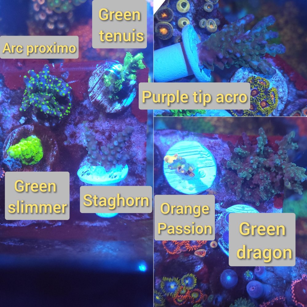 GridArt_20230814_224422464_compress19.jpg