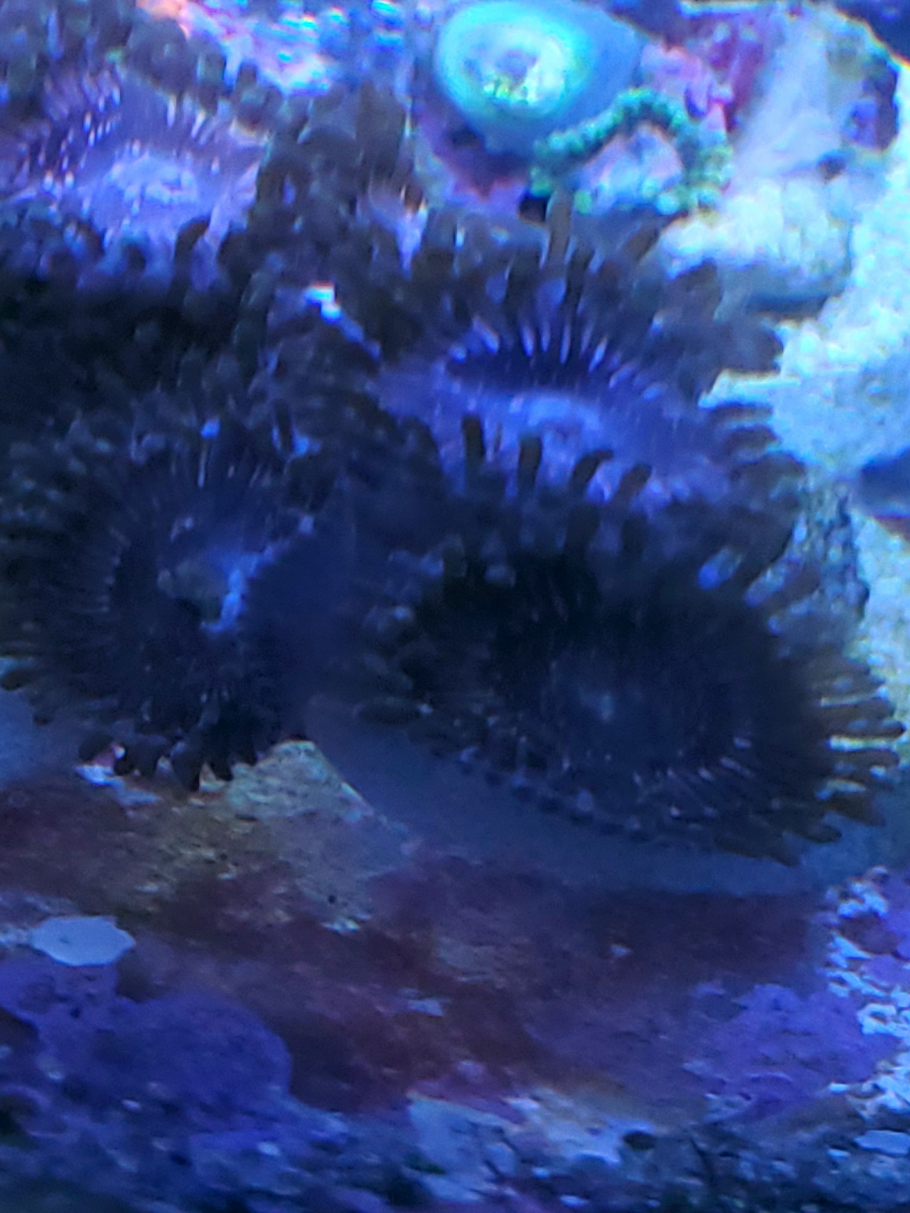20201124_193907.jpg