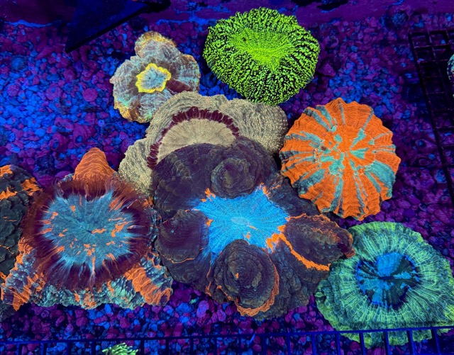 IMG_9644 Medium.jpeg