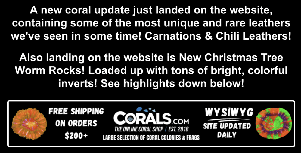 Screenshot 2026-04-20 at 1.46.02 PM.png