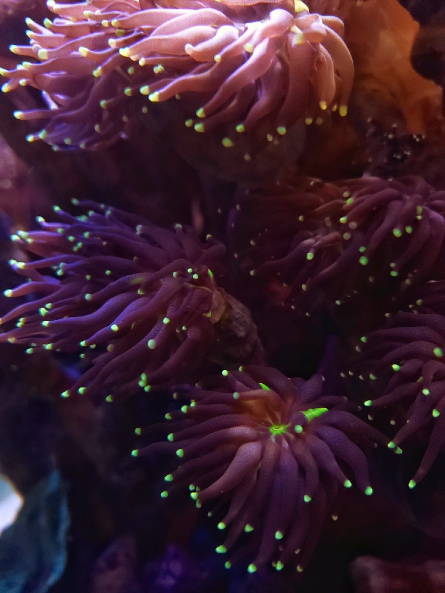 20190920_160001-01_resize_32.jpg