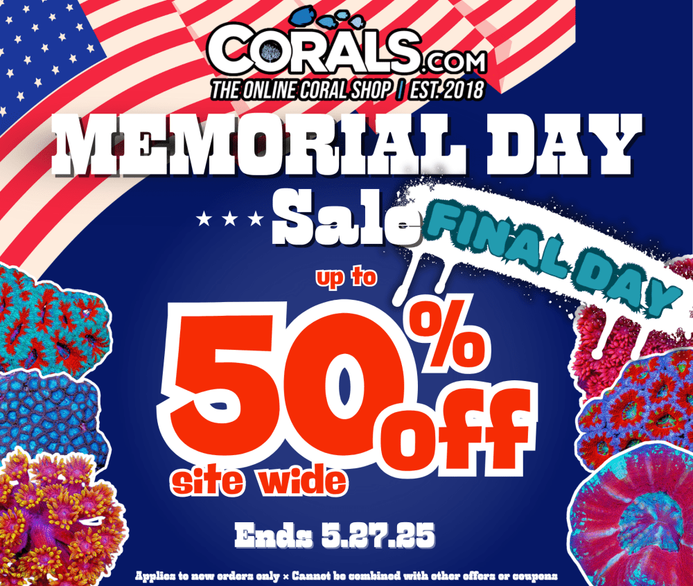 Memorial Day 2025 ends today.png
