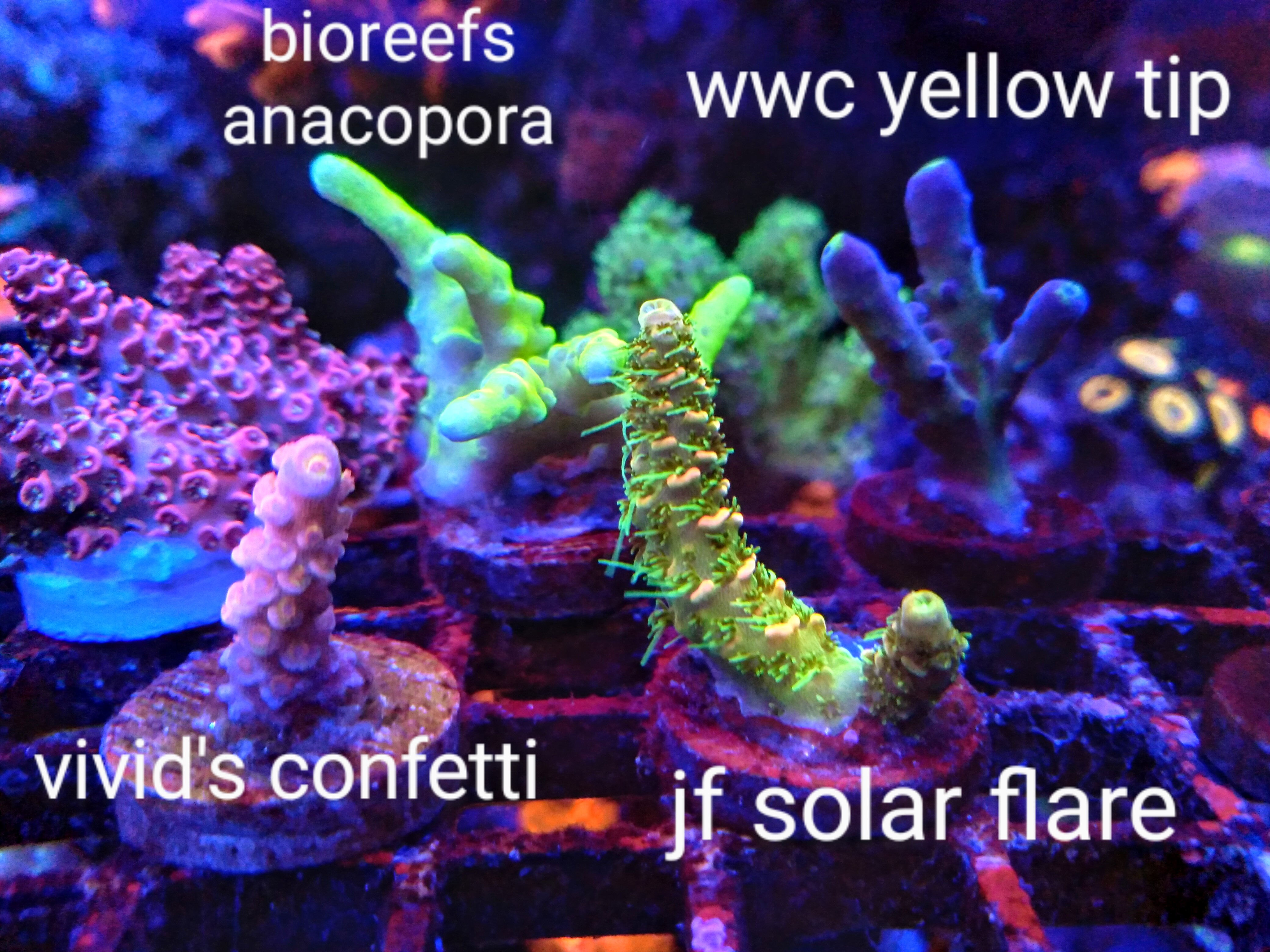 20200906_225044~2.jpg