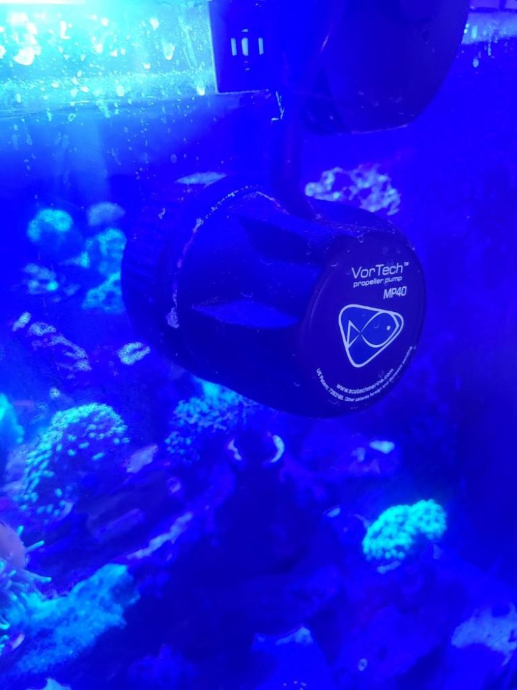 1701893117808.jpeg
