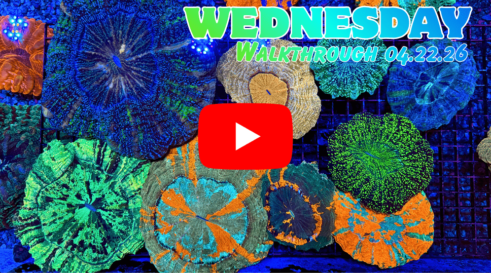 Walkthrough 04.22.26(1).png