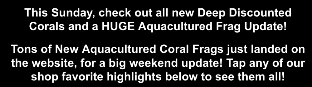 Screenshot 2026-03-06 at 2.53.13 PM.png