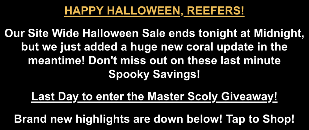 Screenshot 2025-10-31 at 10.57.12 AM.png