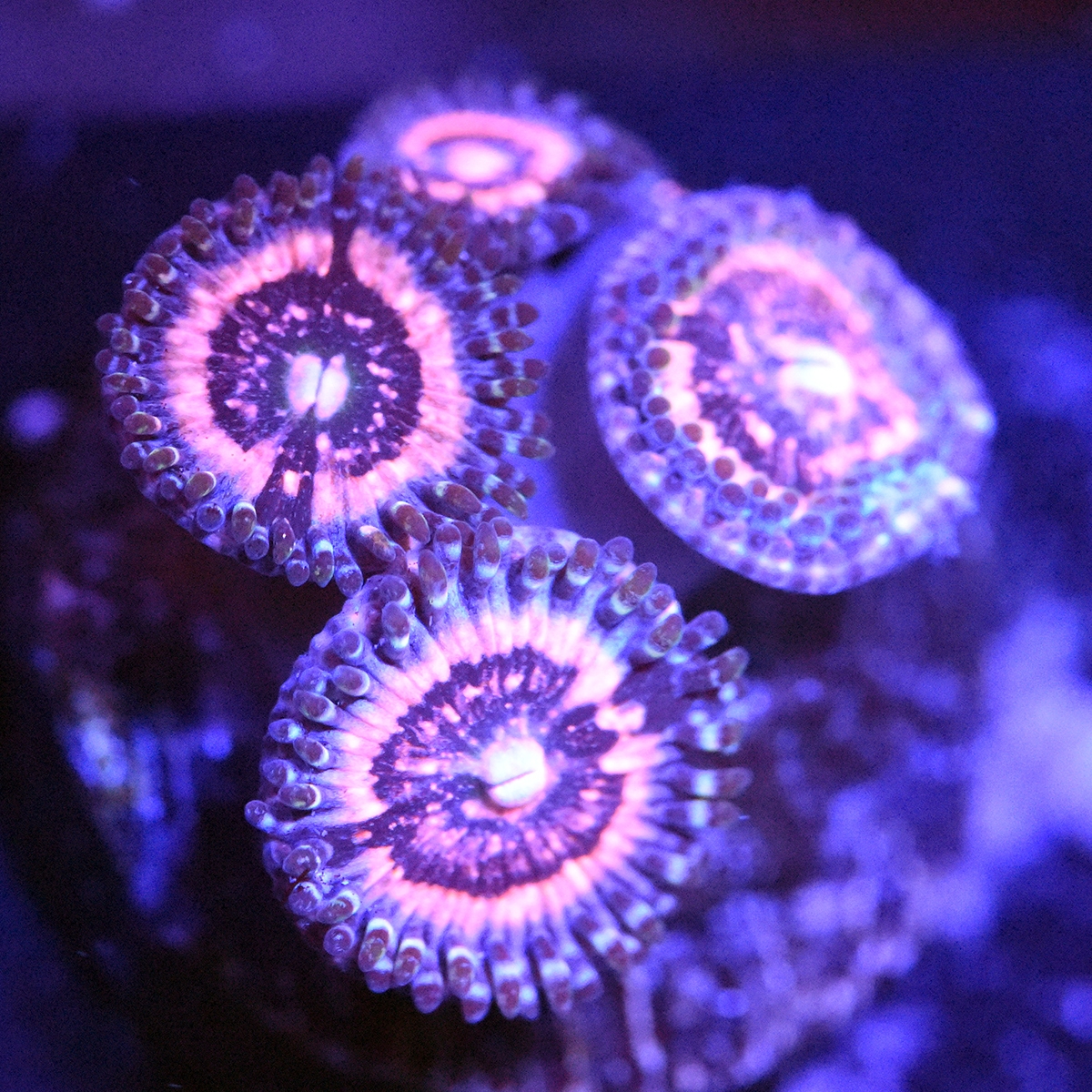 DSC_4145.JPG
