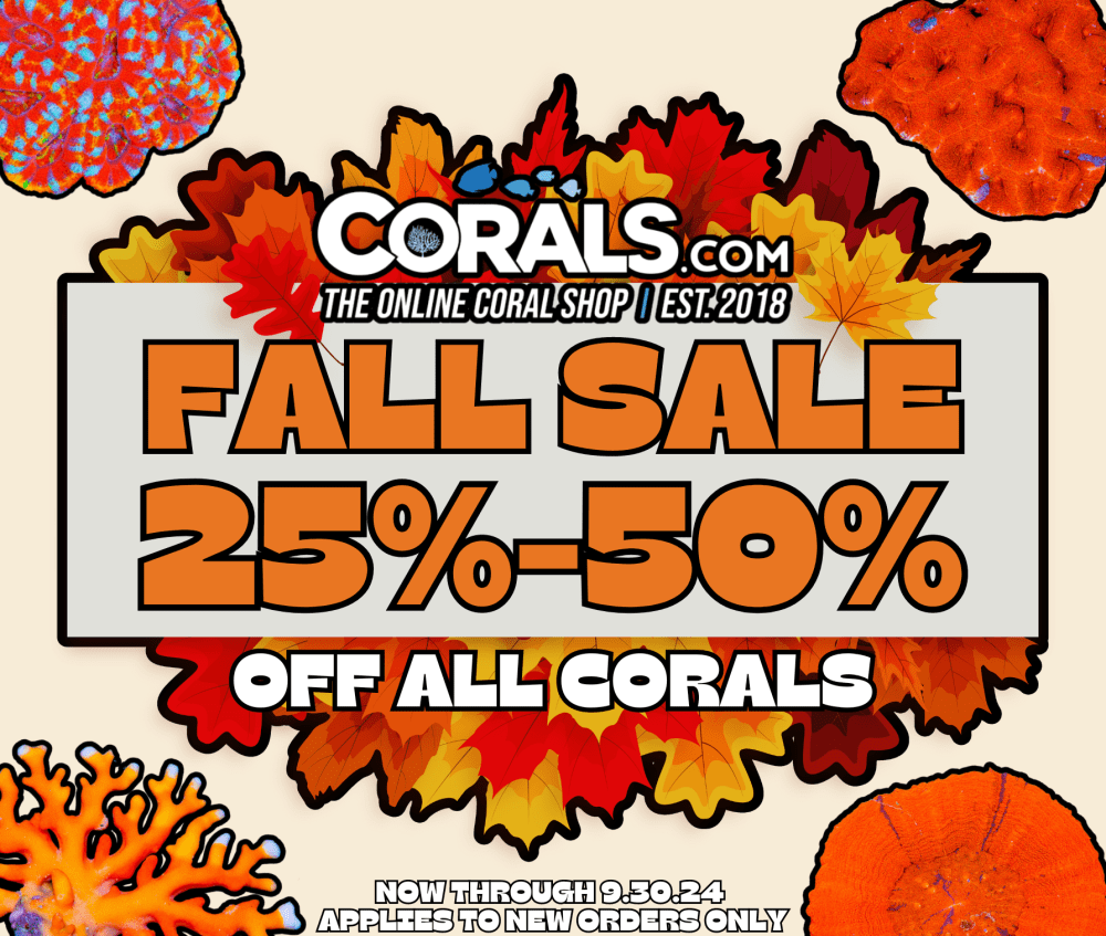 Fall Sale 24'(2).png Fall Sale 24'(2).png