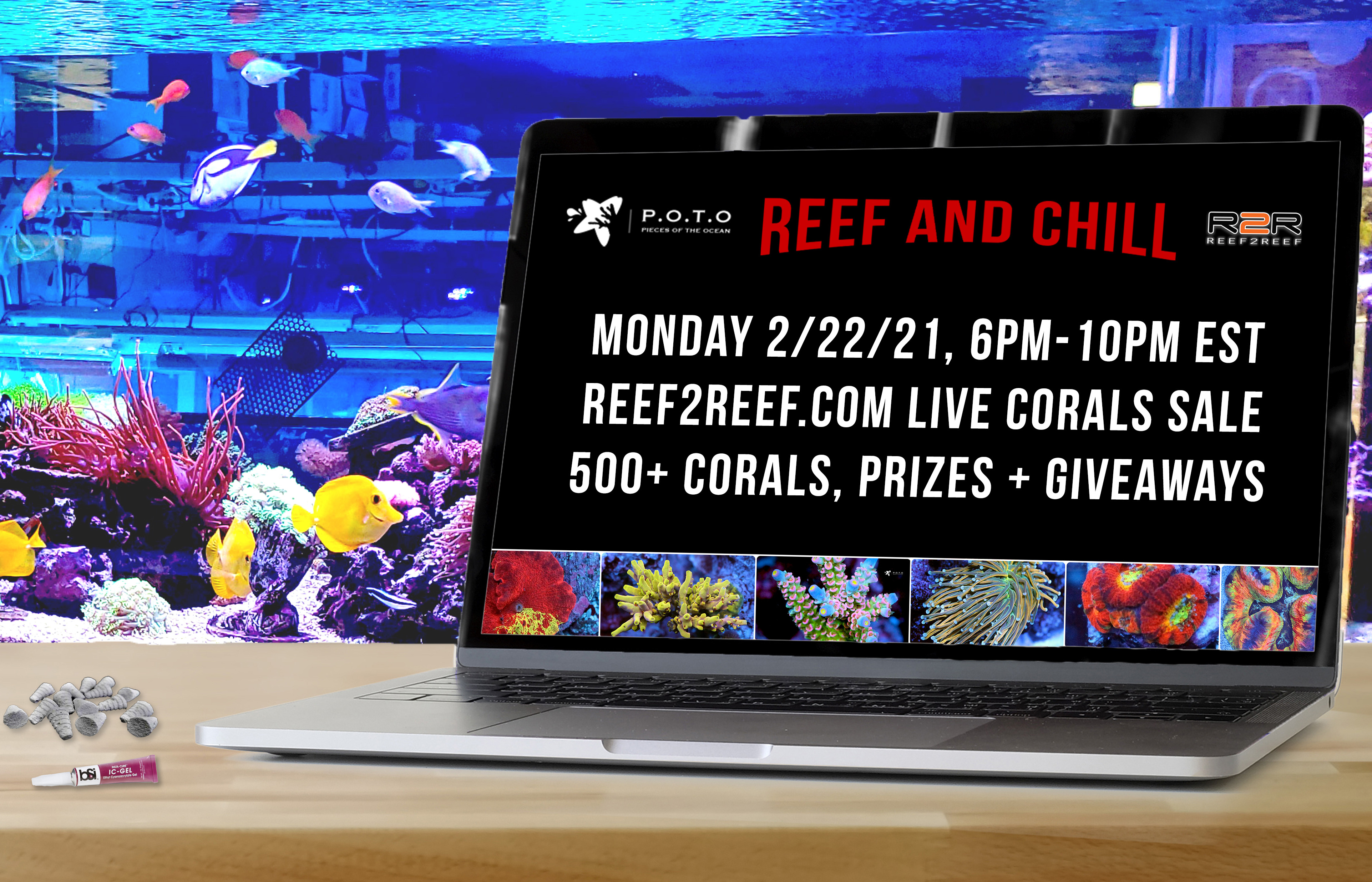 reef-and-chill_email.jpg