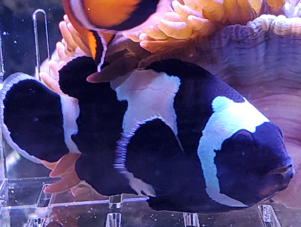 20230516_174913.jpg