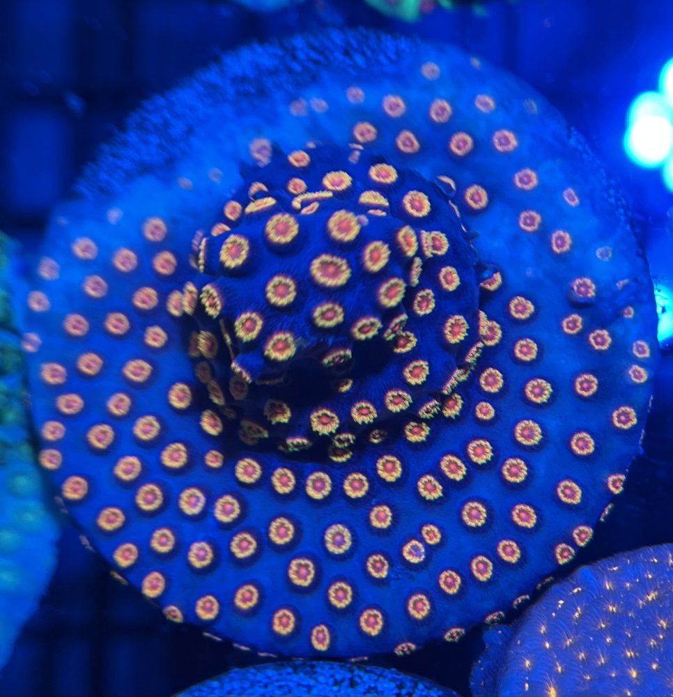 7CE26A53-941F-4A4D-8664-97E09941810C.jpeg