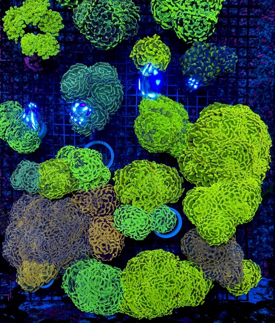 IMG_9648 Medium.jpeg