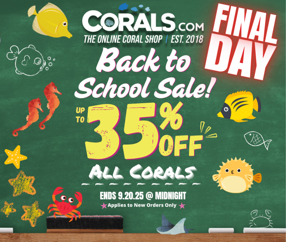 Back to school 2025(2).png