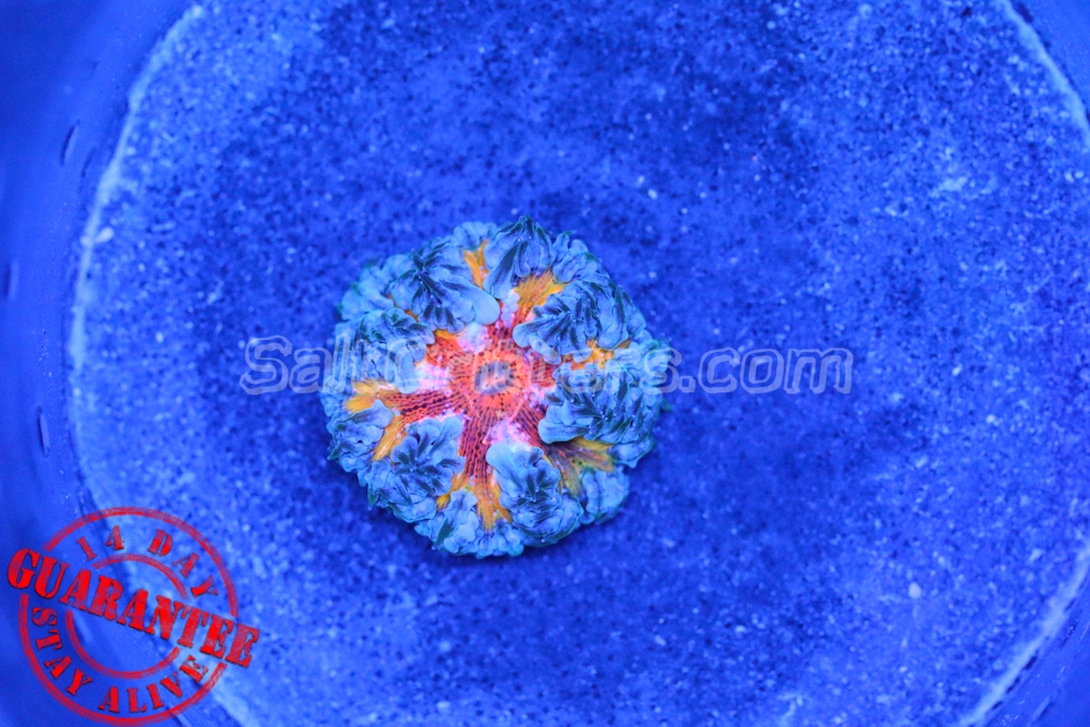 edebd0b5-7461-499b-9375-7b69101eeda9.jpg edebd0b5-7461-499b-9375-7b69101eeda9.jpg