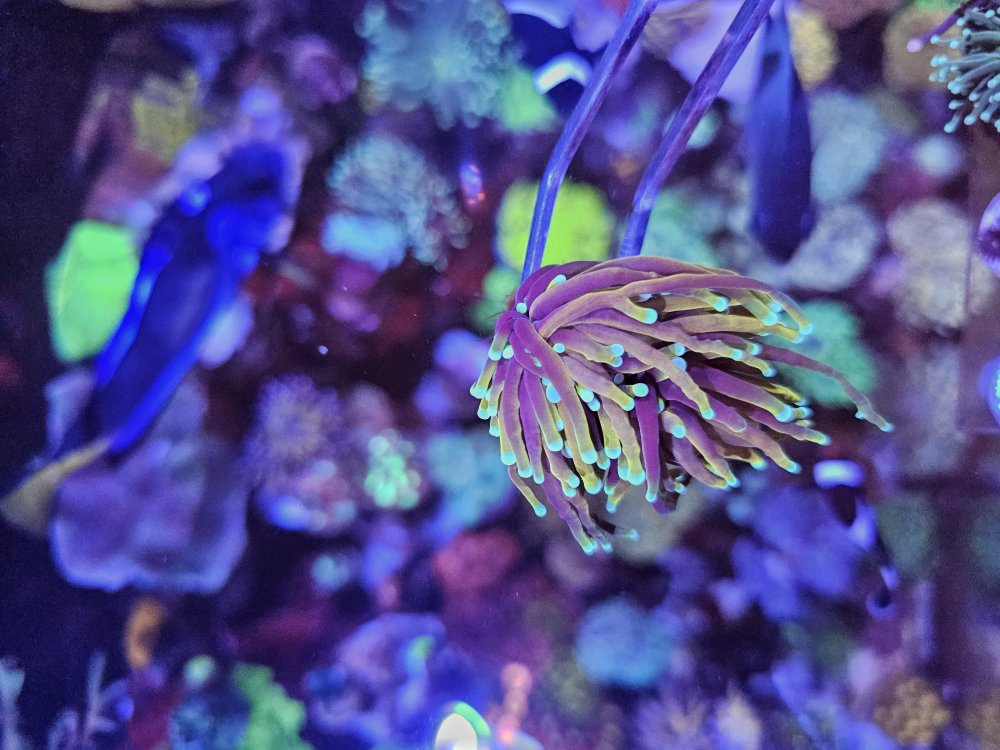 20231021_202103.jpg