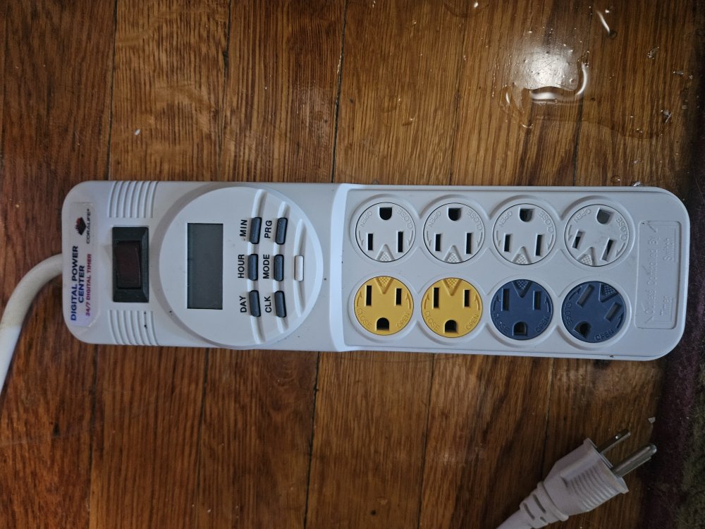 20251001_161436.jpg