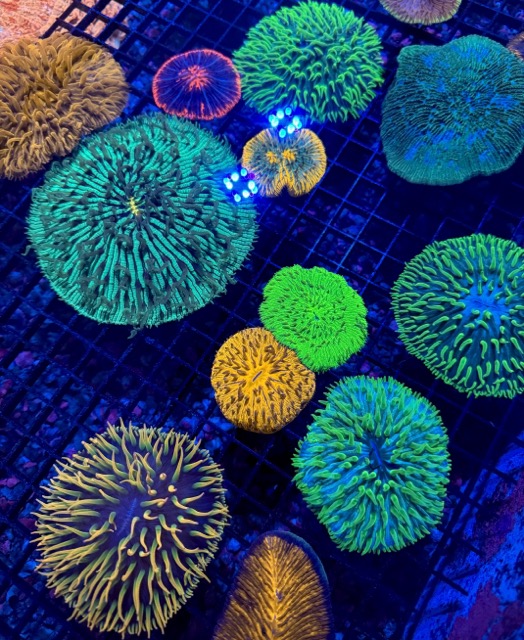 IMG_9647 Medium.jpeg