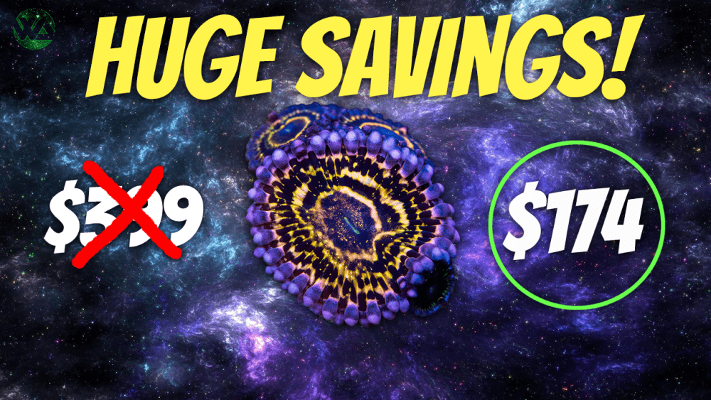 HUGE SAVINGS!!.png HUGE SAVINGS!!.png