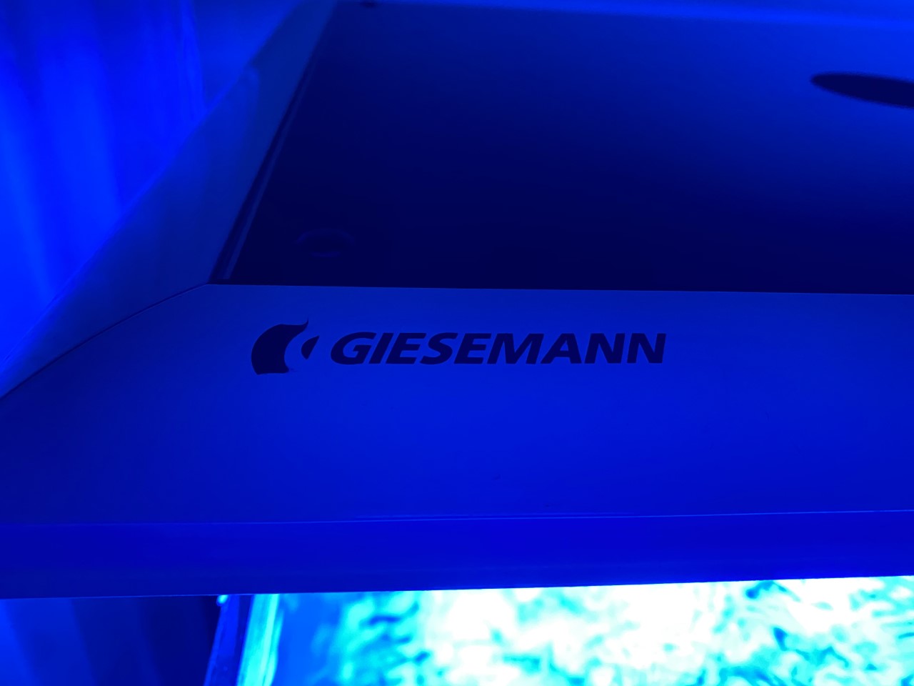 Giesemann.jpg