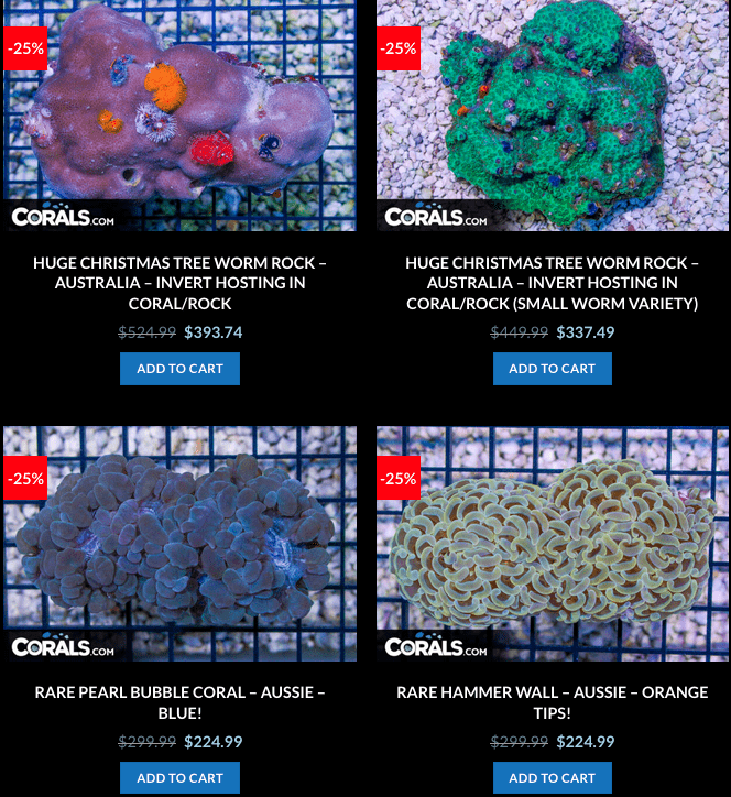 Screen Shot 2023-01-24 at 9.05.54 AM.png