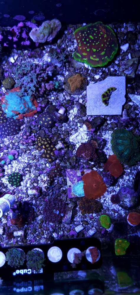 20230413_124625.jpg