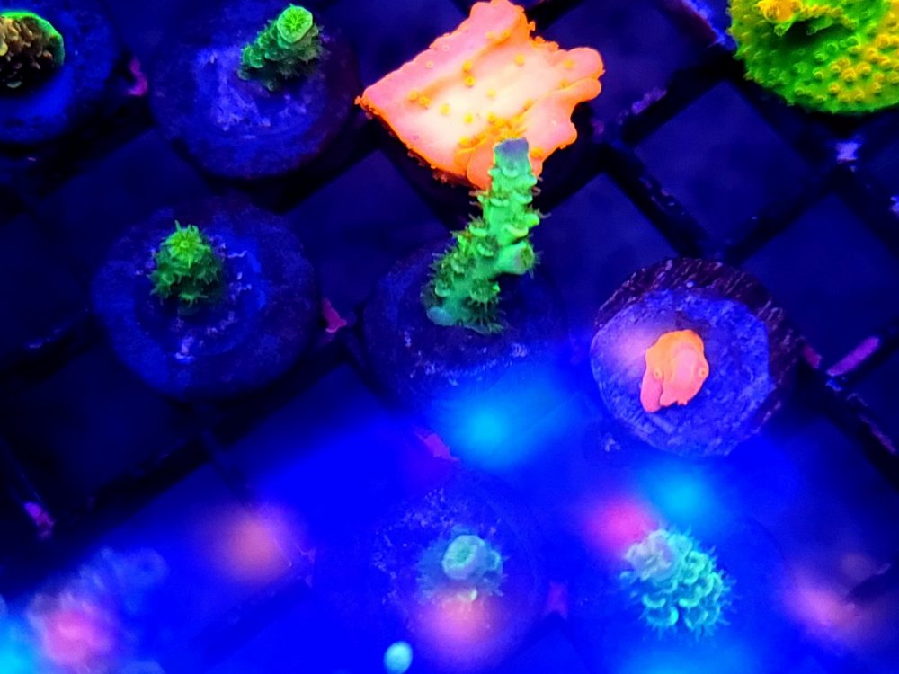 20230323_101627.jpg