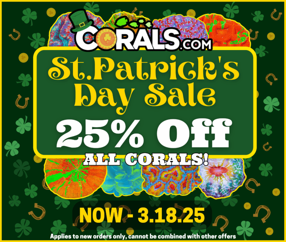 St Patty_s 2025.png