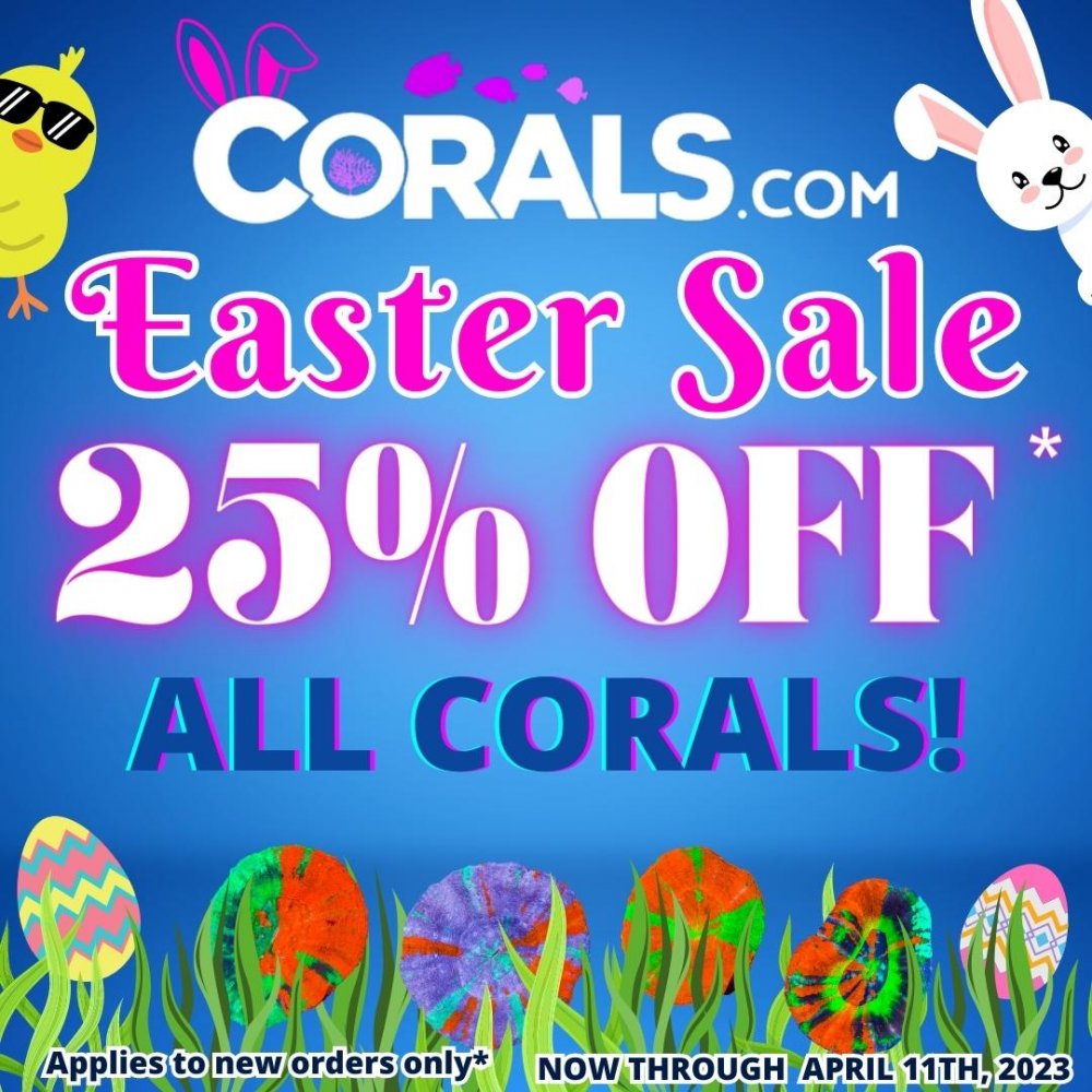 Easter Sale 2023.jpg